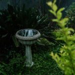 Birdbath with Birds on It: 7 Proven Ways to Avoid Costly Mistakes