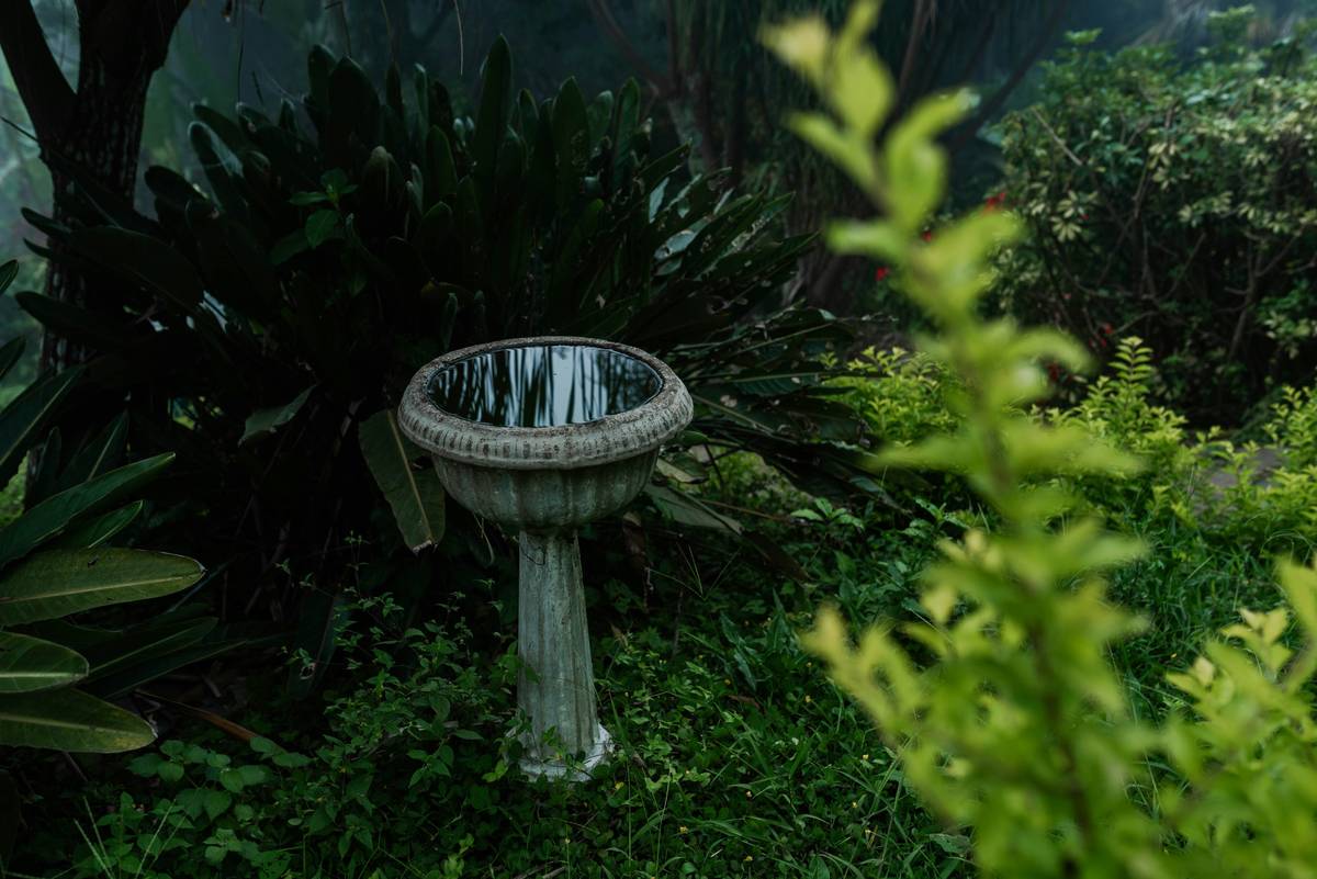 Birdbath with Birds on It: 7 Proven Ways to Avoid Costly Mistakes